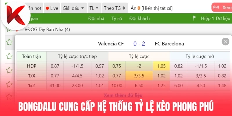 Bongdalu.africa cung cấp hệ thống tỷ lệ kèo phong phú