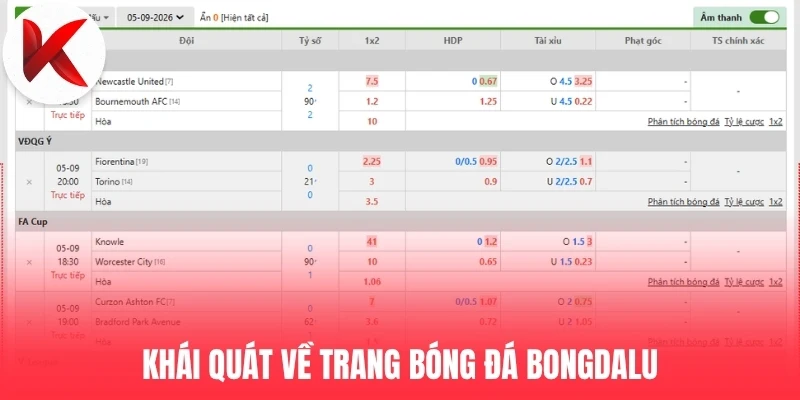 Khái quát về trang bóng đá Bongdalu.africa